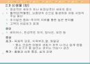 유아기의 건강 28페이지