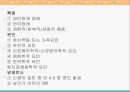 정신건강 21페이지