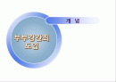 부부강간 법제화 2페이지