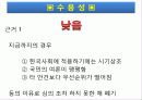 부부강간 법제화 22페이지