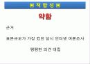부부강간 법제화 25페이지