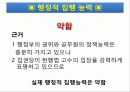 부부강간 법제화 33페이지
