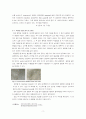 [유기화학] 재결정과 용해도(Recrystallization&Solubility) 실험(예비+결과레포트) 2페이지