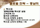 팬택의 글로벌 경영 20페이지