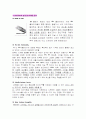 레인콤의 아이리버 기업과 제품의 마케팅 전략 5페이지
