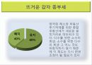 현 정부 부동산 정책 9페이지