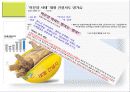 현 정부 부동산 정책 12페이지