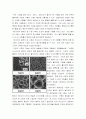 분쇄 및 팽창 열처리 실험 6페이지