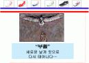 런닝화 신제품 기획서-제안서 18페이지