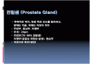 남성생식계 2페이지