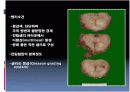 남성생식계 10페이지