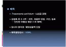 남성생식계 17페이지