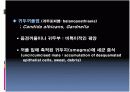 남성생식계 20페이지