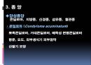 남성생식계 21페이지