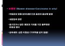남성생식계 24페이지