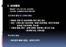 남성생식계 31페이지