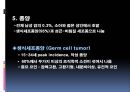 남성생식계 38페이지