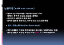 남성생식계 41페이지
