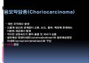 남성생식계 42페이지