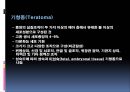 남성생식계 43페이지