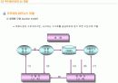 e – 비즈니스 모델의 개념 16페이지