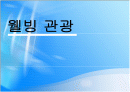 웰빙 관광에 대하여 1페이지
