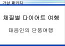 웰빙 관광에 대하여 27페이지