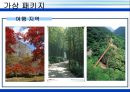웰빙 관광에 대하여 31페이지