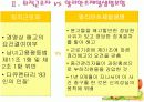 알리안츠  6페이지