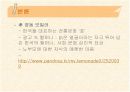 광고분석 5페이지