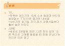 광고분석 17페이지