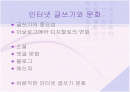 인터넷 글쓰기와 문화 2페이지