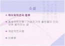 인터넷 글쓰기와 문화 5페이지