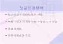 인터넷 글쓰기와 문화 11페이지