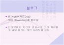 인터넷 글쓰기와 문화 14페이지