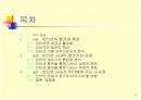 인터넷 시대의 글쓰기와 문화-문제점 2페이지
