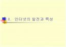 인터넷 시대의 글쓰기와 문화-문제점 4페이지