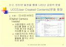 인터넷 시대의 글쓰기와 문화-문제점 17페이지