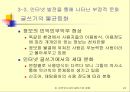인터넷 시대의 글쓰기와 문화-문제점 24페이지