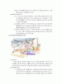 생활 속의 전기안전 13페이지