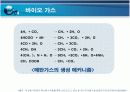 새로운 에너지, 바이오에너지에 대한 조사자료 8페이지