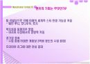 맨체스터유나이티드의 성공 전략 16페이지