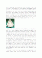 이것은 미술이 아니다(감상문) 4페이지