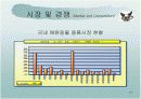 사업계획 및 투자 제안서 13페이지