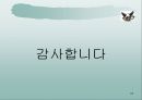 사업계획 및 투자 제안서 24페이지