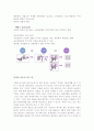 월마트의 성공요인과 전략 14페이지