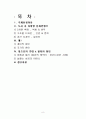 문화컨텐츠의 비젼과 전략  8페이지