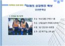 fc서울의 마케팅전략 5페이지