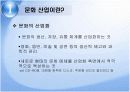 한류와 문화산업 5페이지