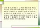 조손가정의 실상 4페이지